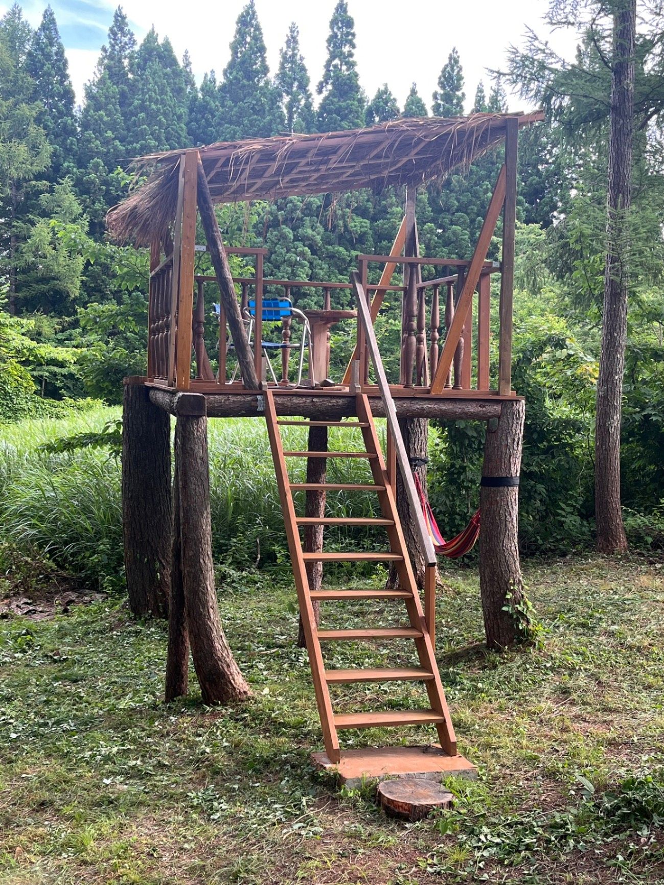 Trail Madarao So-image