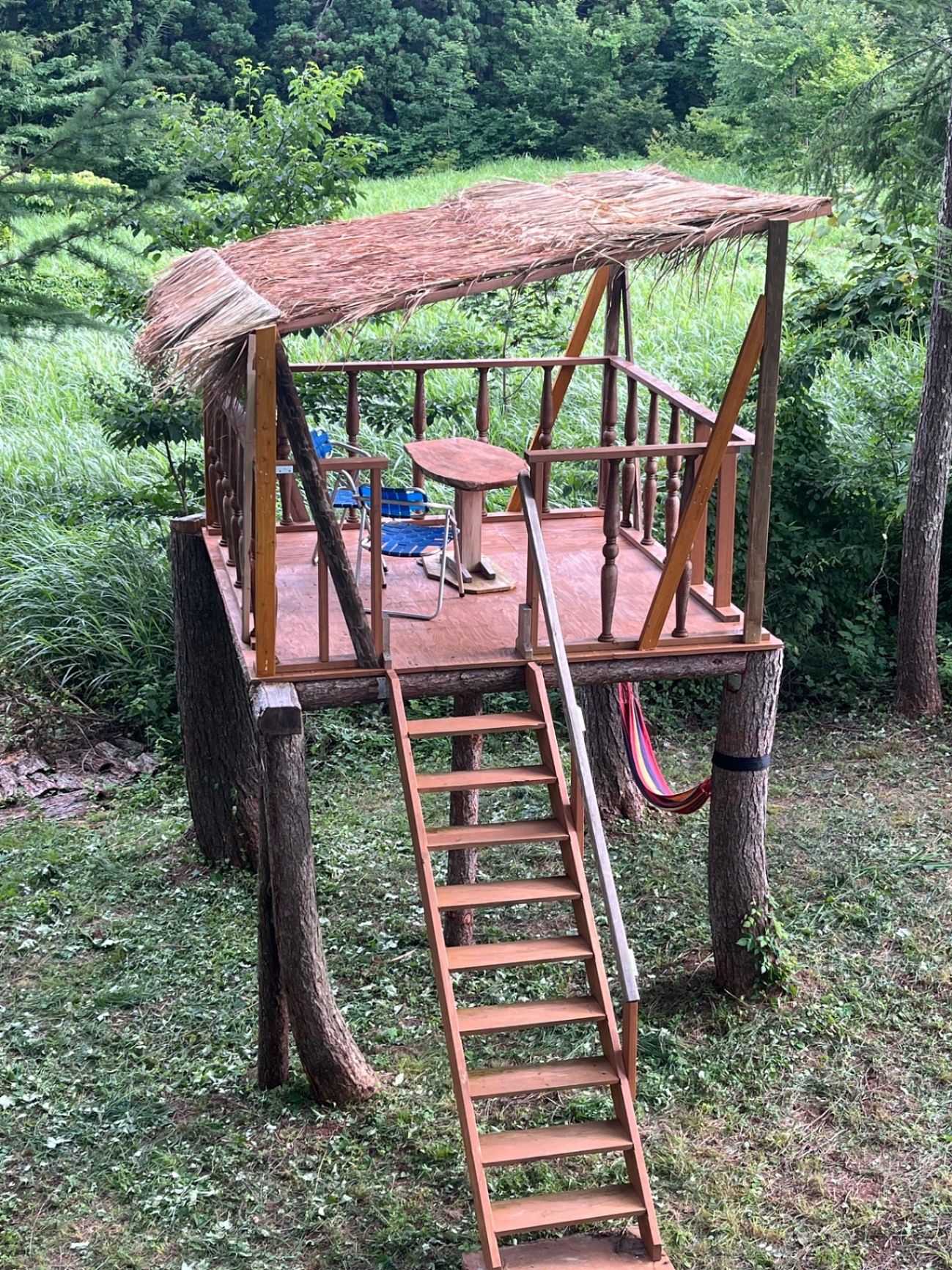 Trail Madarao So-image