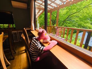 そら豆ん家-image