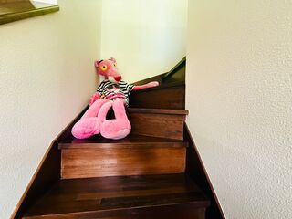 そら豆ん家-image