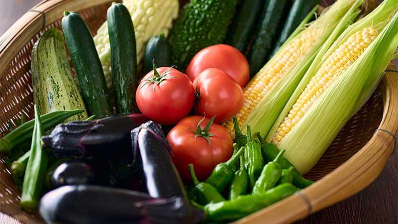 夏バテを防ぐ8月の食事と栄養