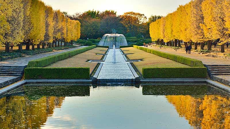 関東の秋を彩る犬連れ紅葉スポット