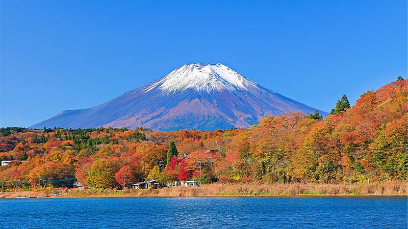 日帰り可能な秋のドライブコース