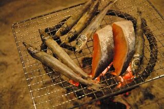 地魚 メギス(日本海)