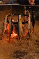 川魚 鮎(姫川)