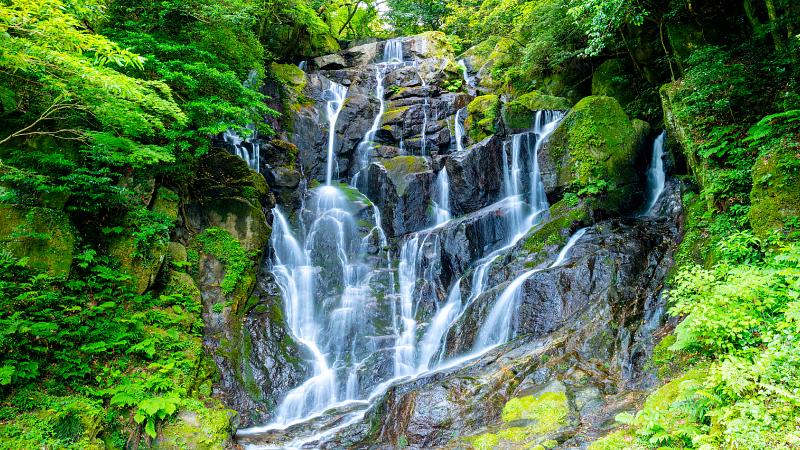 夏疲れを癒す涼しい旅行先の選び方