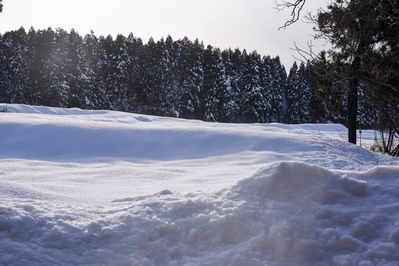 雪原あるき