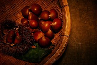 秋の採取(栗、柿、茸)