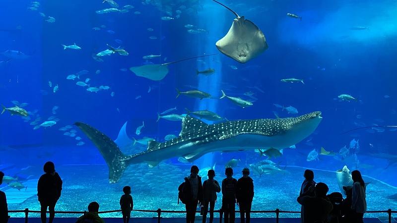 子どもが喜ぶ主な国内旅行先