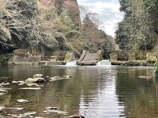 大戸見の家-image