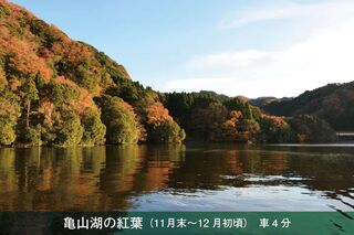 大戸見の家-image