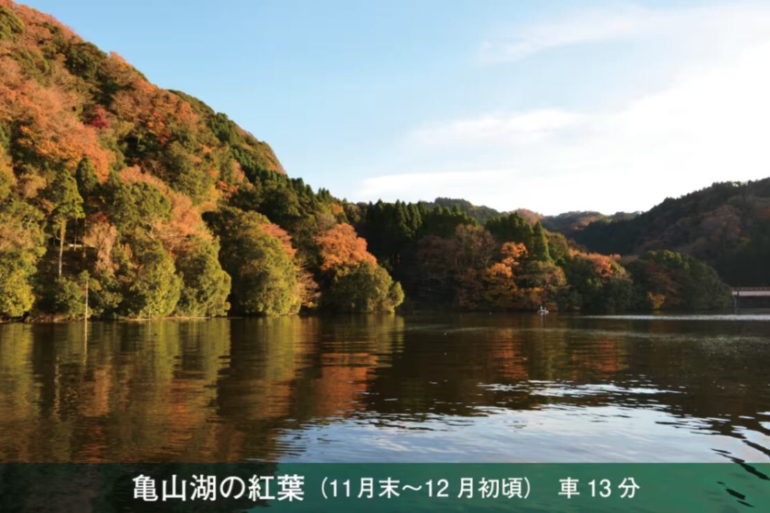 大森川の家-image