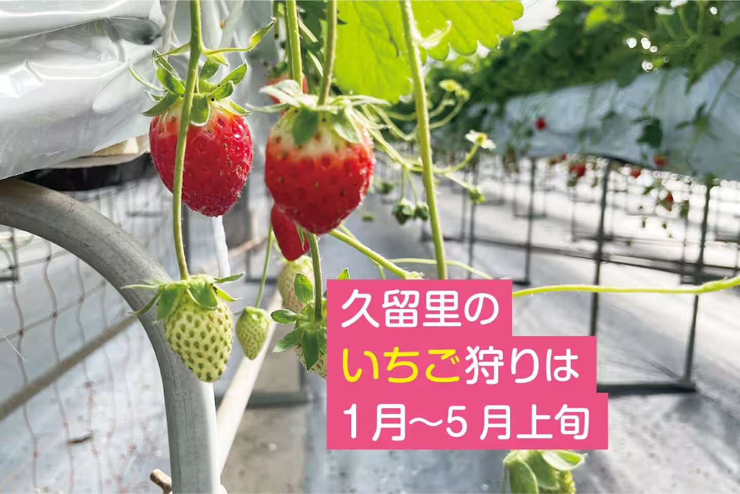 大森川の家-image
