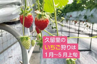 大森川の家-image