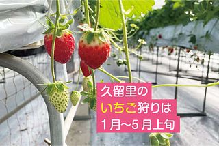 大森川の家-image