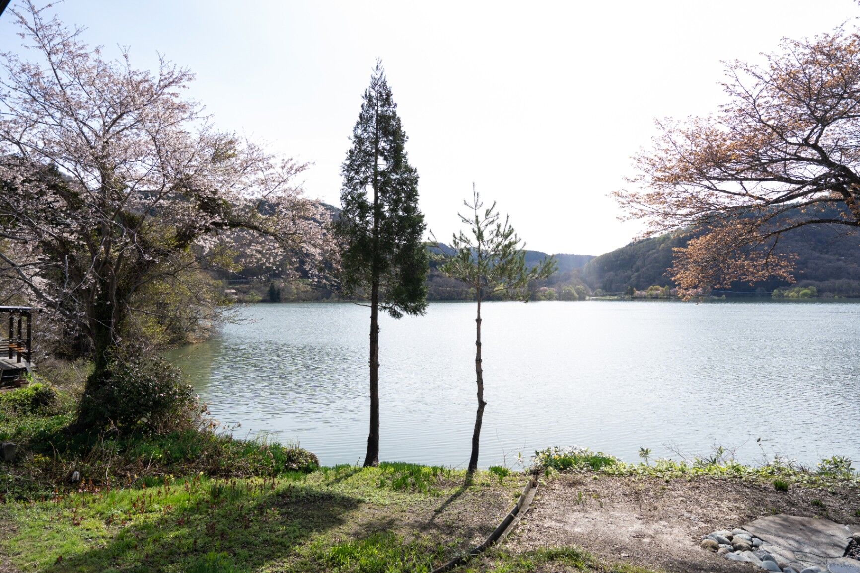 ネビラキinn-image