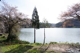 ネビラキinn-image