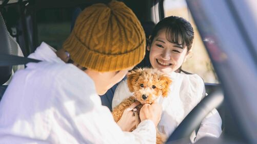 愛犬と一緒に楽しむ貸別荘・コテージ特集|自然の中でのびのび過ごせる一棟貸しを紹介