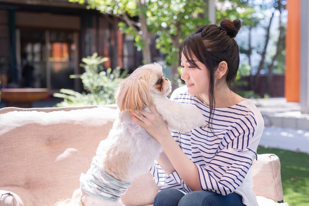 愛犬と旅行