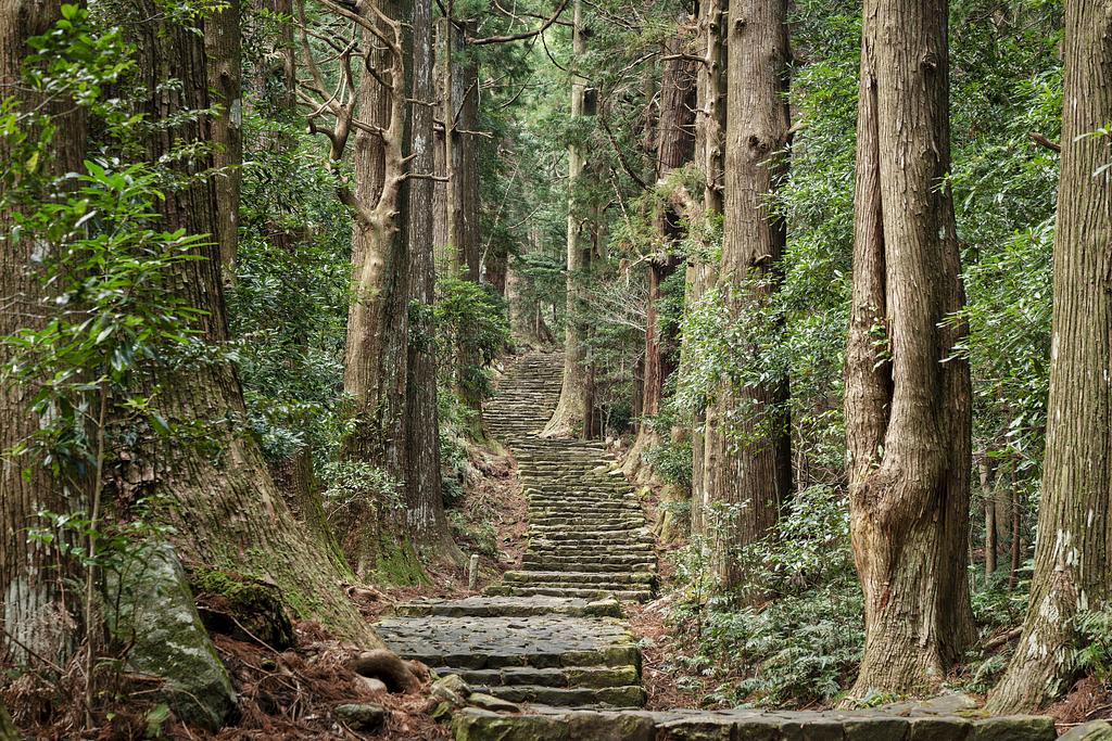 熊野古道 大門坂