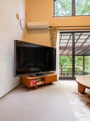 大画面テレビ