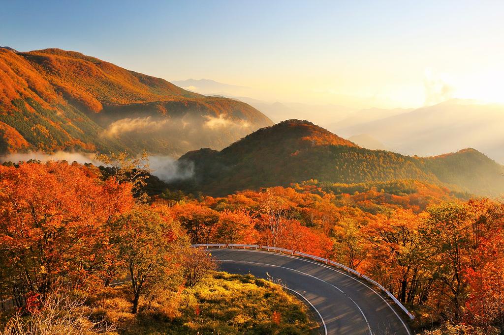 栃木 | いろは坂