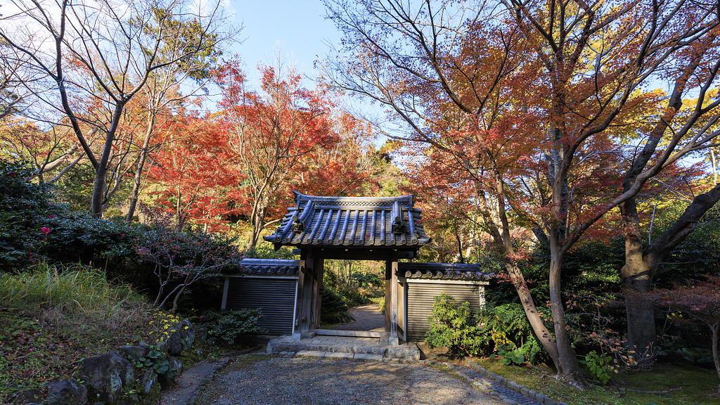 神奈川 | 三溪園
