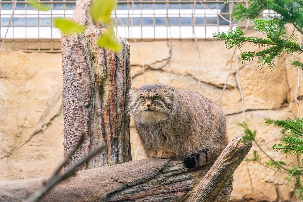 那須どうぶつ王国