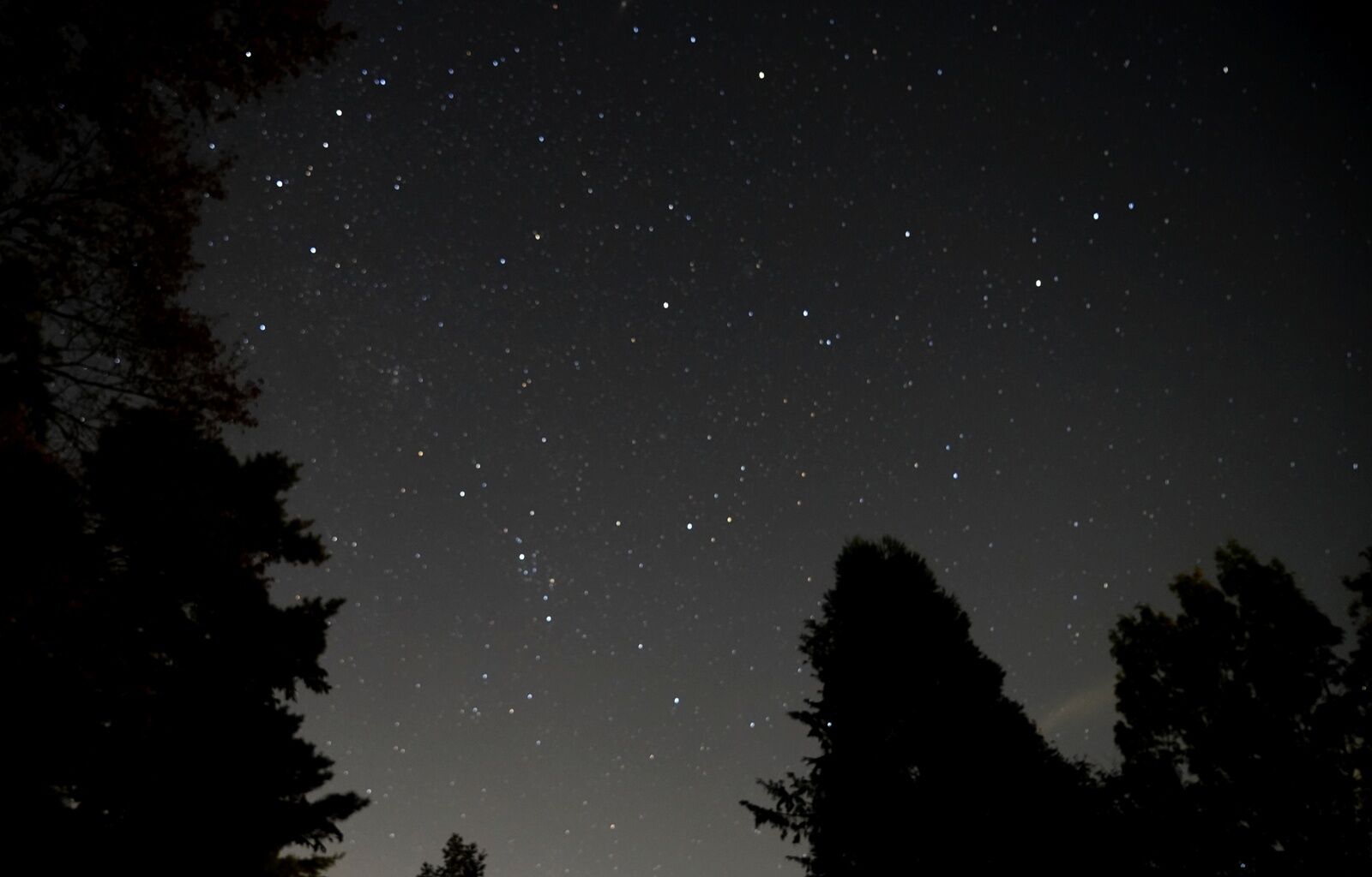 星の煌めく夜空