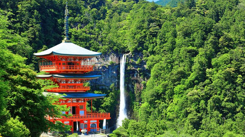 【2026年最新】和歌山でバーベキューができる貸別荘・コテージおすすめ9選!カップル向け・ペットOK・アクティビティが楽しめるなど