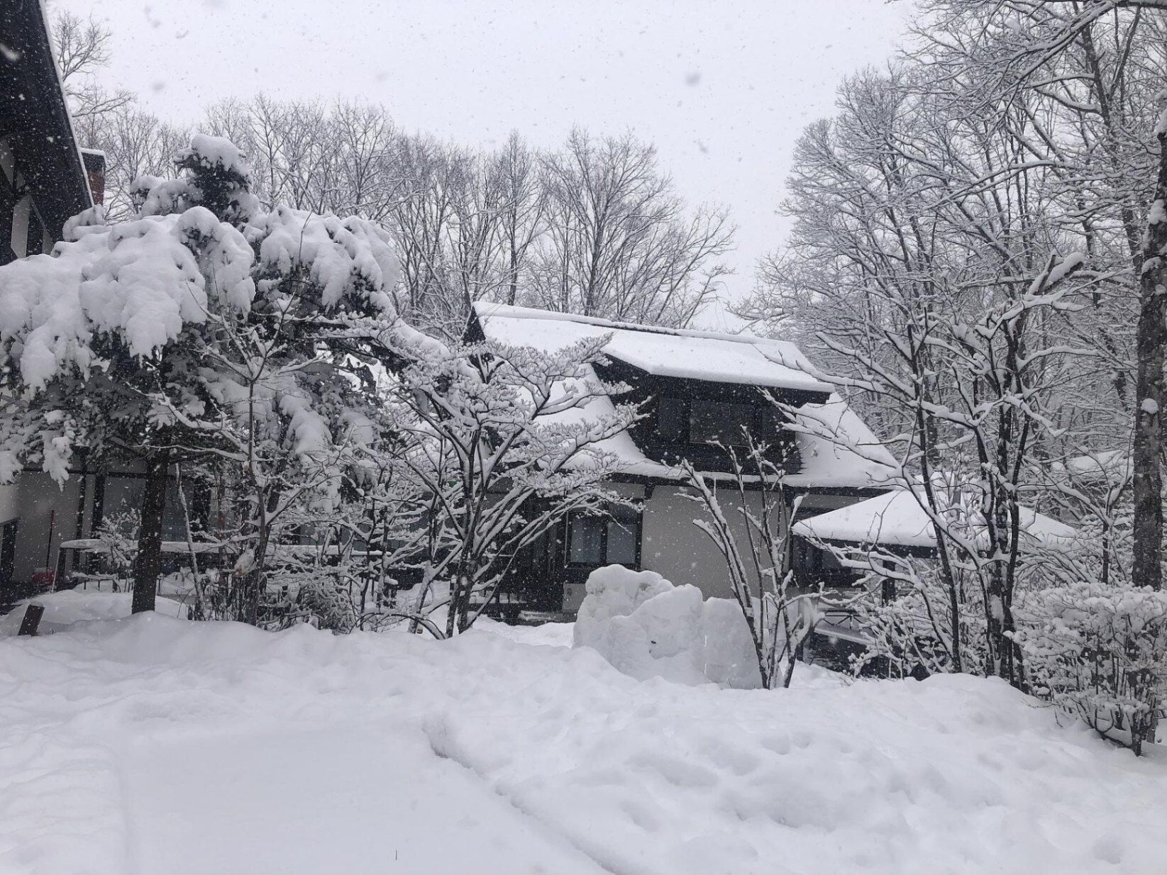 キャッスル北軽井沢-image