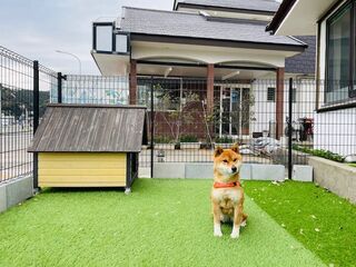 Uhome Kamogawa 本館-image