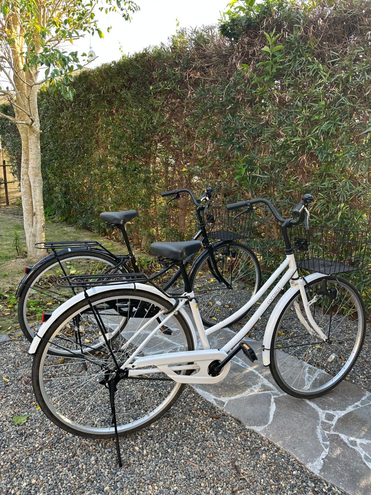 無料レンタサイクルあり(２台)