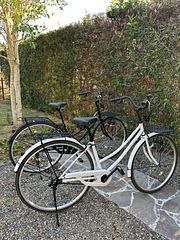 無料レンタサイクルあり(2台)