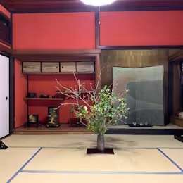 季節の花を楽しむ