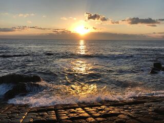 波音に耳を傾けながら迎える朝。太平洋から昇る美しい朝日が、心に癒しと感動を届けます