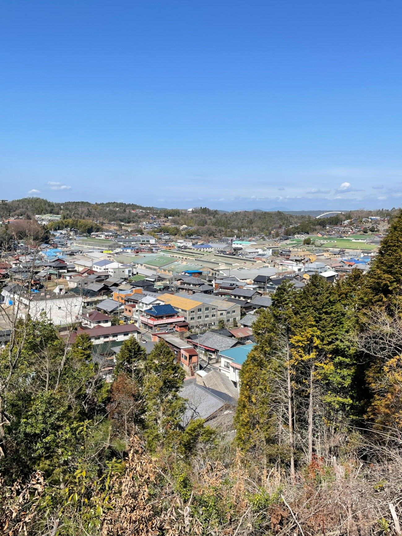 近くの山から見える風景