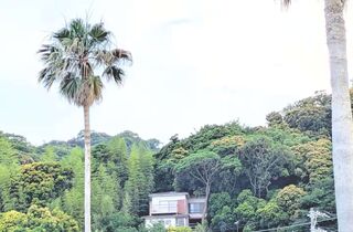 ハーバーテラス伊豆-image
