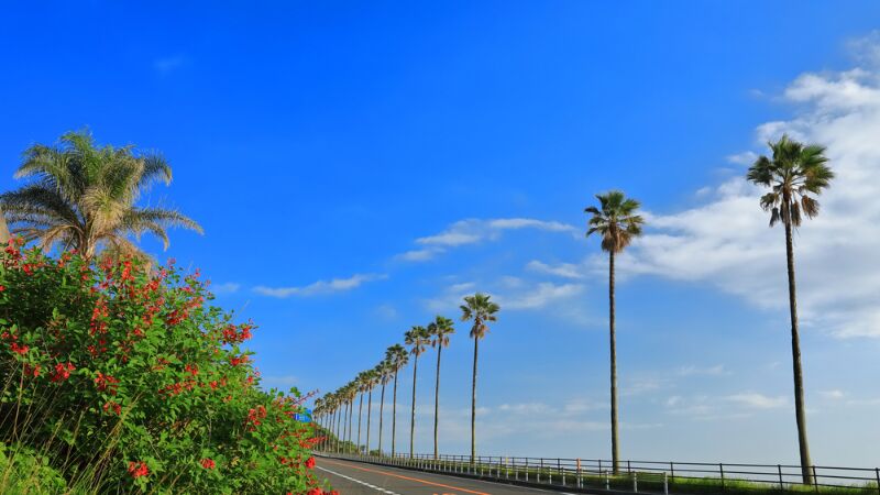 【2026年最新】宮崎観光の2泊3日モデルコース＆宿泊ガイド｜高千穂・日南・青島エリアのパワースポット＆絶景を巡る旅