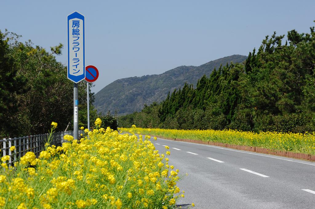 千葉県 | 房総フラワーライン