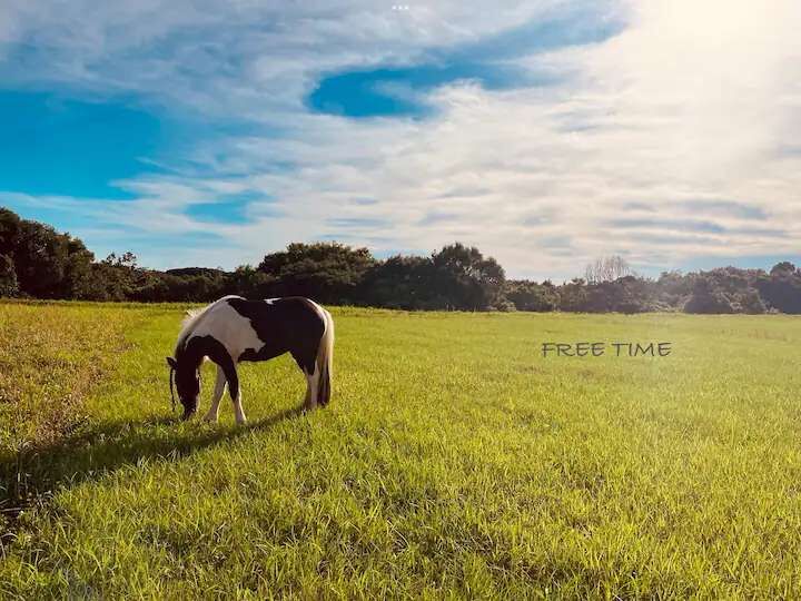 FarmStay YuLuLu-image
