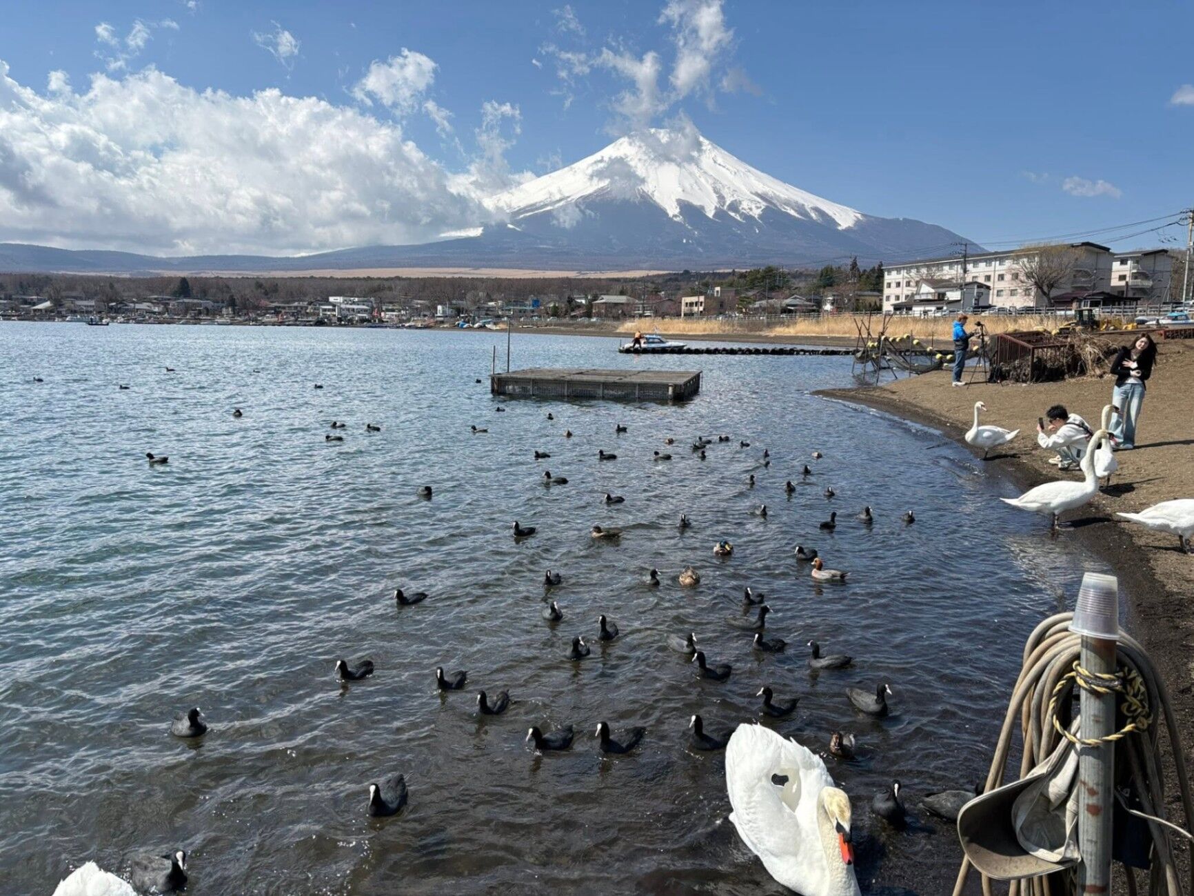 HOTEL Mt.Fuji MoMoAung 桃庵-image