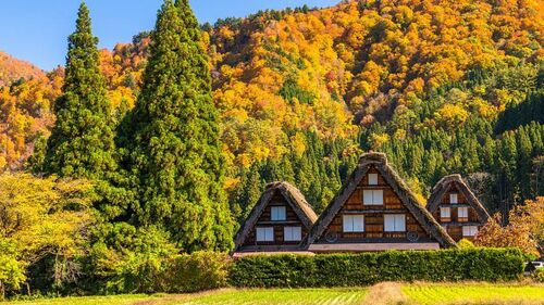 岐阜のお土産おすすめ34選！定番から人気スイーツ、おしゃれ雑貨まで徹底解説