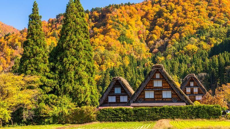 岐阜のお土産おすすめ34選!定番から人気スイーツ、おしゃれ雑貨まで徹底解説