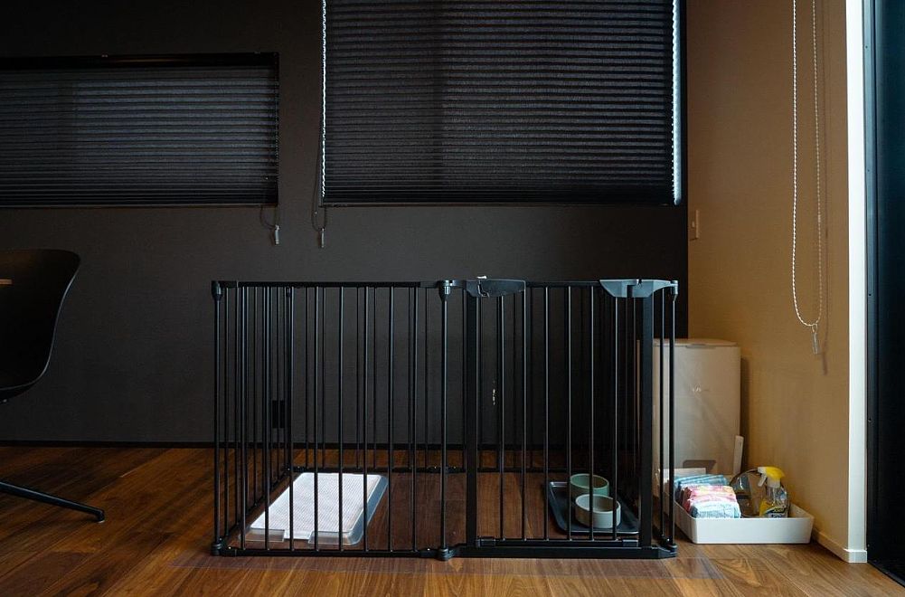 Awaji-shima C-Side Sky Arena-image