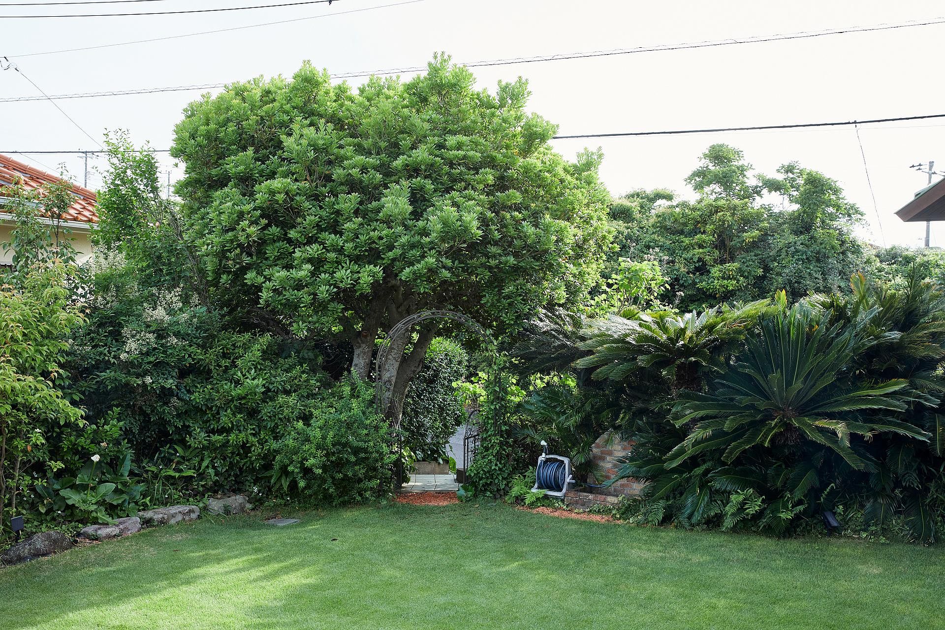 庭から見た、庭の出入り口。