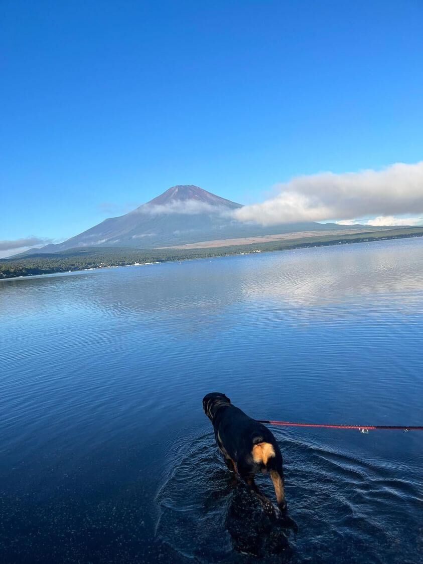 富士山