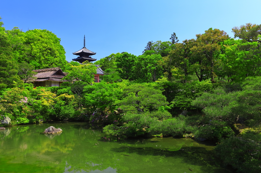 京都府 | 仁和寺