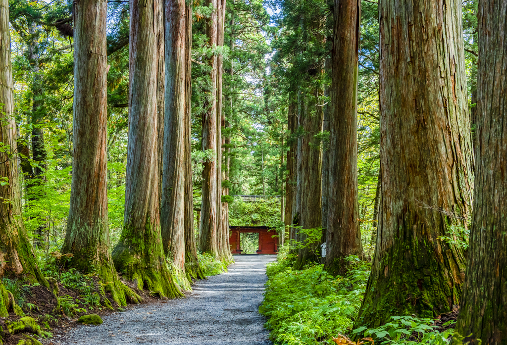 長野県 | 戸隠神社