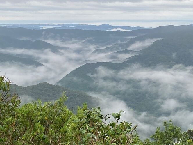 気象条件が整えば早朝散歩で雲海に出会えます。